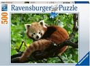 Lieve rode panda