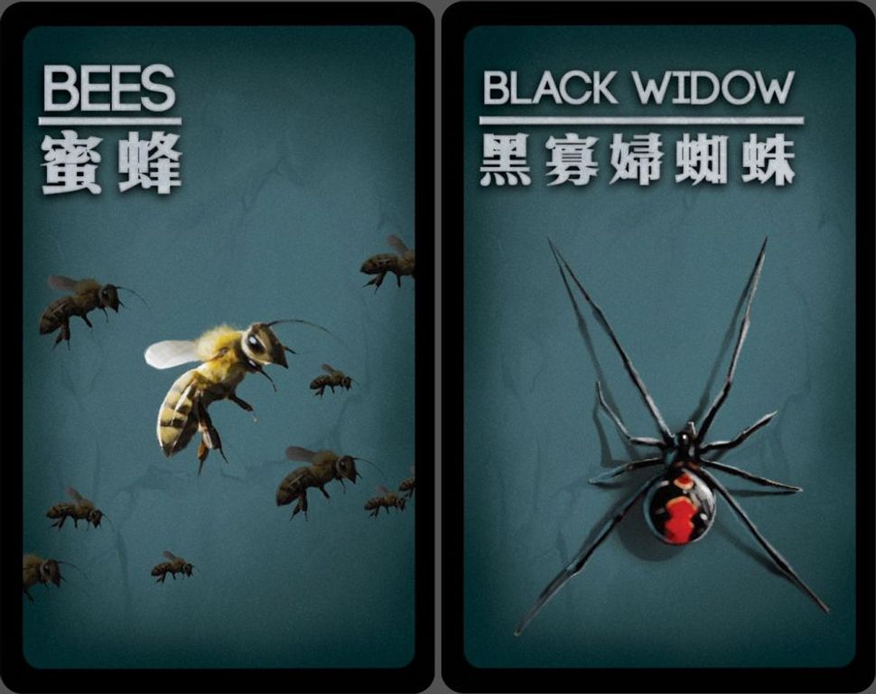 Deception: Undercover Allies cards