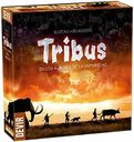 Tribus