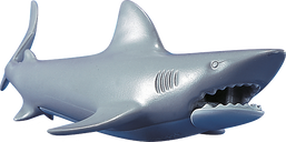 Shark components