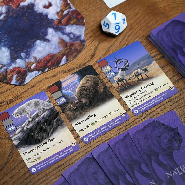 Nature: Arctic Tundra components