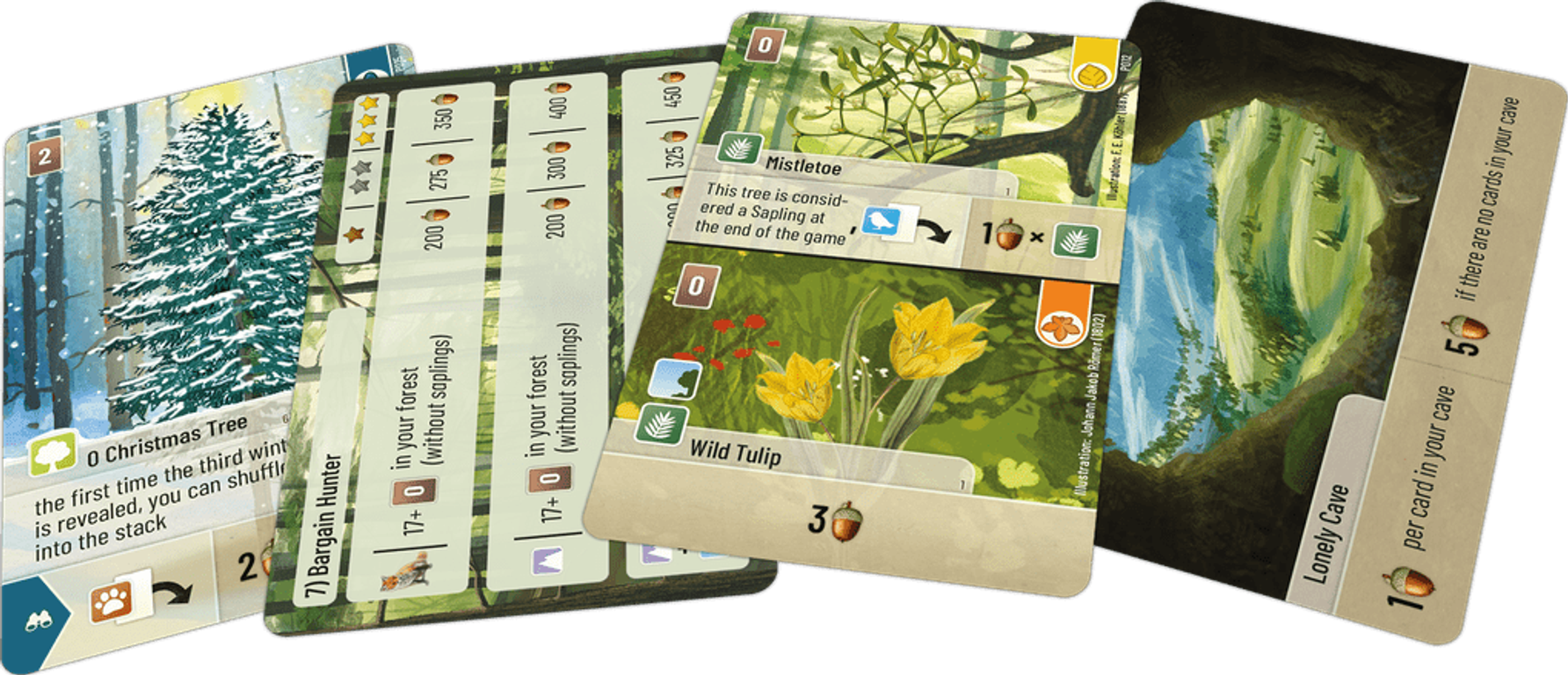 Forest Shuffle: Exploration cards