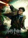 Le Monde Fantastique d’Harry Potter