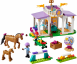 LEGO® Friends Horse Training components