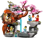 LEGO® Ninjago Drachenstein-Tempel