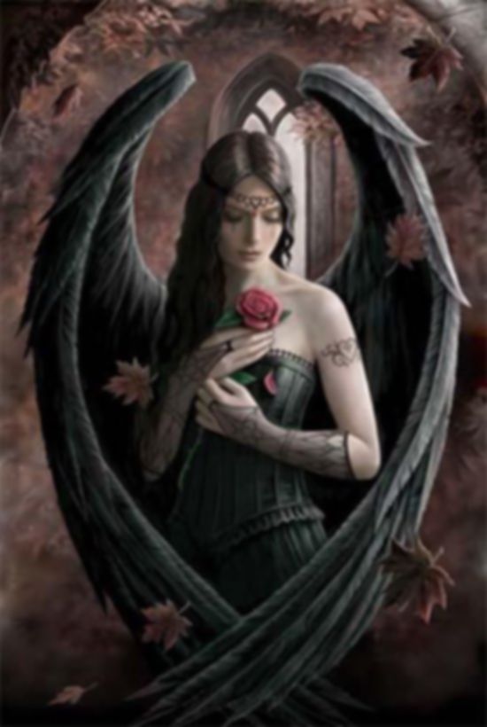Anne Stokes: Angel Rose