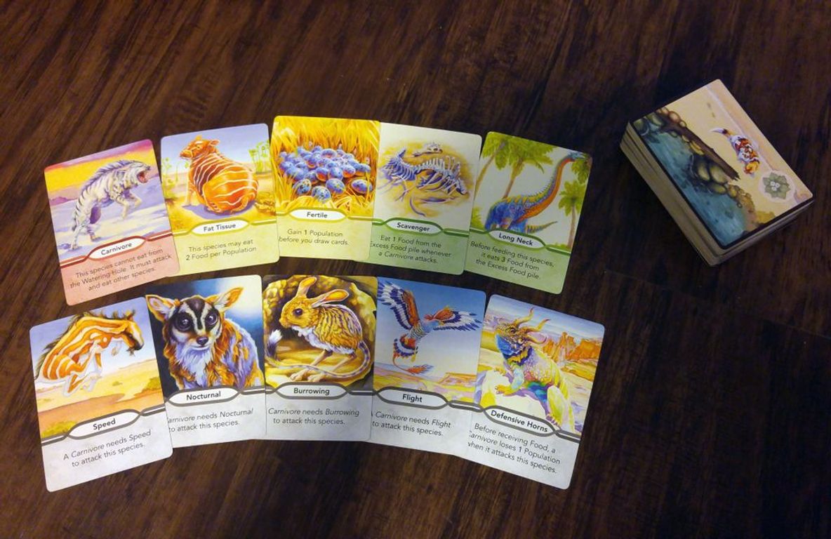 Evolution: The Beginning cards