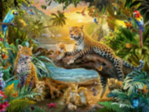 Leopard family in jungle