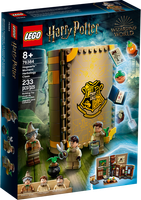 LEGO® Harry Potter™ Poudlard : le cours de botanique