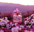 Marc Jacobs Daisy Paradise Limited Edition Eau de toilette