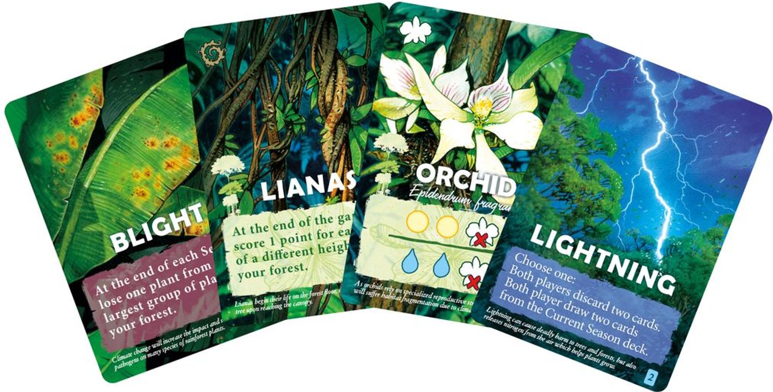 Canopy cards