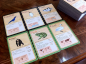 Fauna cartas