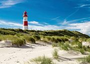 Motief van het Noordzeestrand