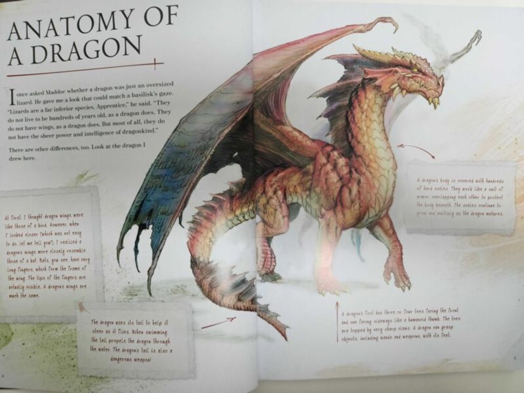 D&D The Practically Complete Guide to Dragons manuel