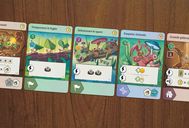 ANTS carte