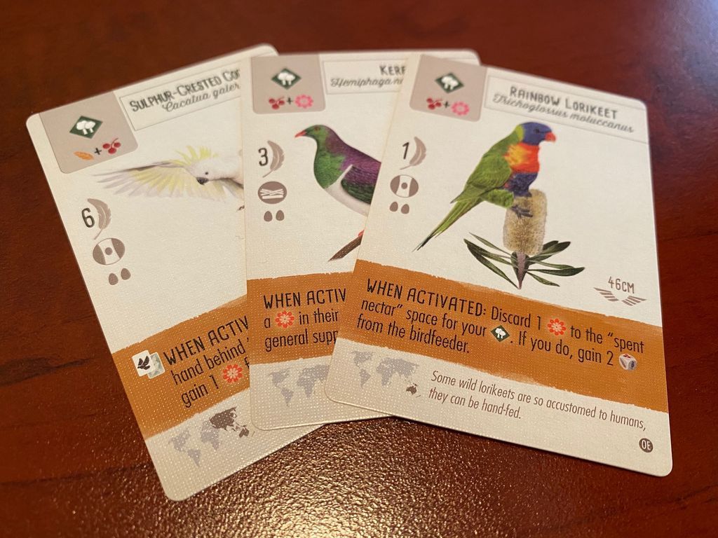 Wingspan: Oceania Expansion cards