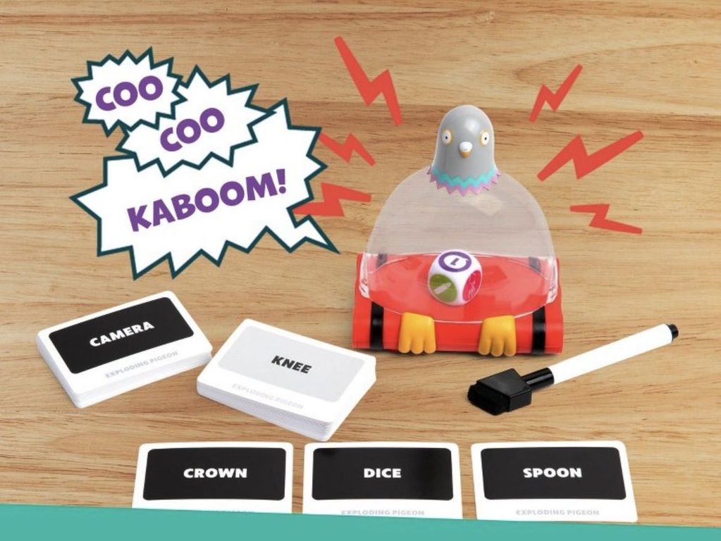 Exploding Pigeon components