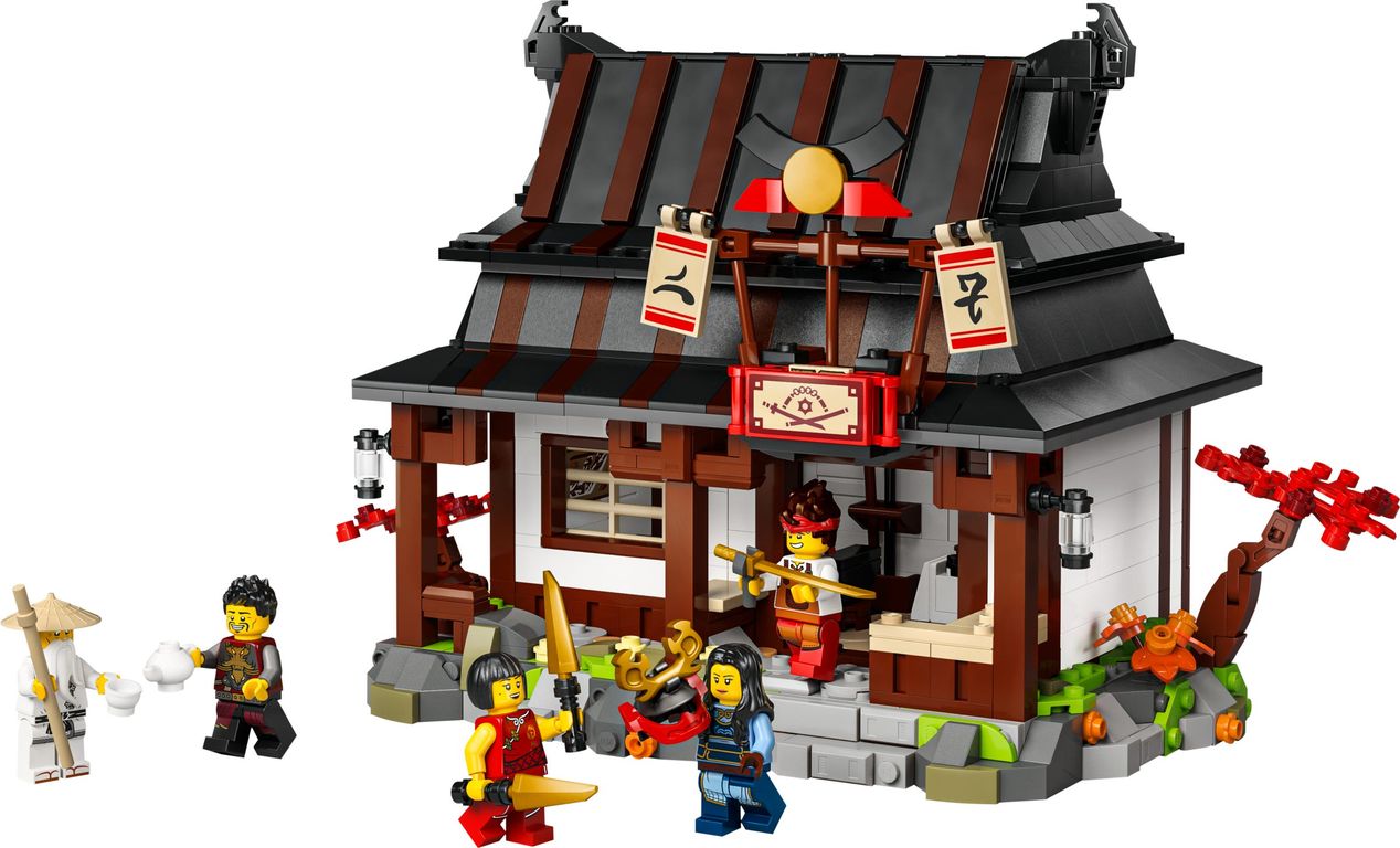 LEGO® Ninjago La bottega delle Quattro Armi - 15° anniversario componenti
