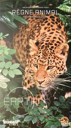 Earth: Animal Kingdom