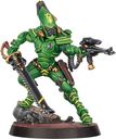 Warhammer 40,000: Kill Team: Blades of Khaine miniatuur