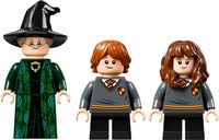 LEGO® Harry Potter™ Lezione di trasfigurazione a Hogwarts™ minifigure