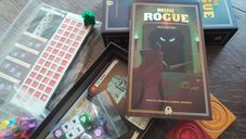 Mini Rogue partes