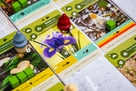 Earth: Abundance gameplay