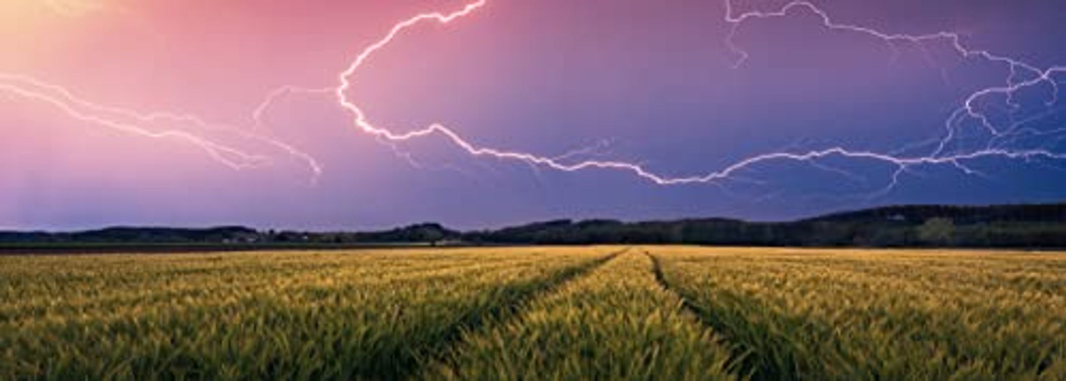 Nature Edition - Summer Thunderstorm
