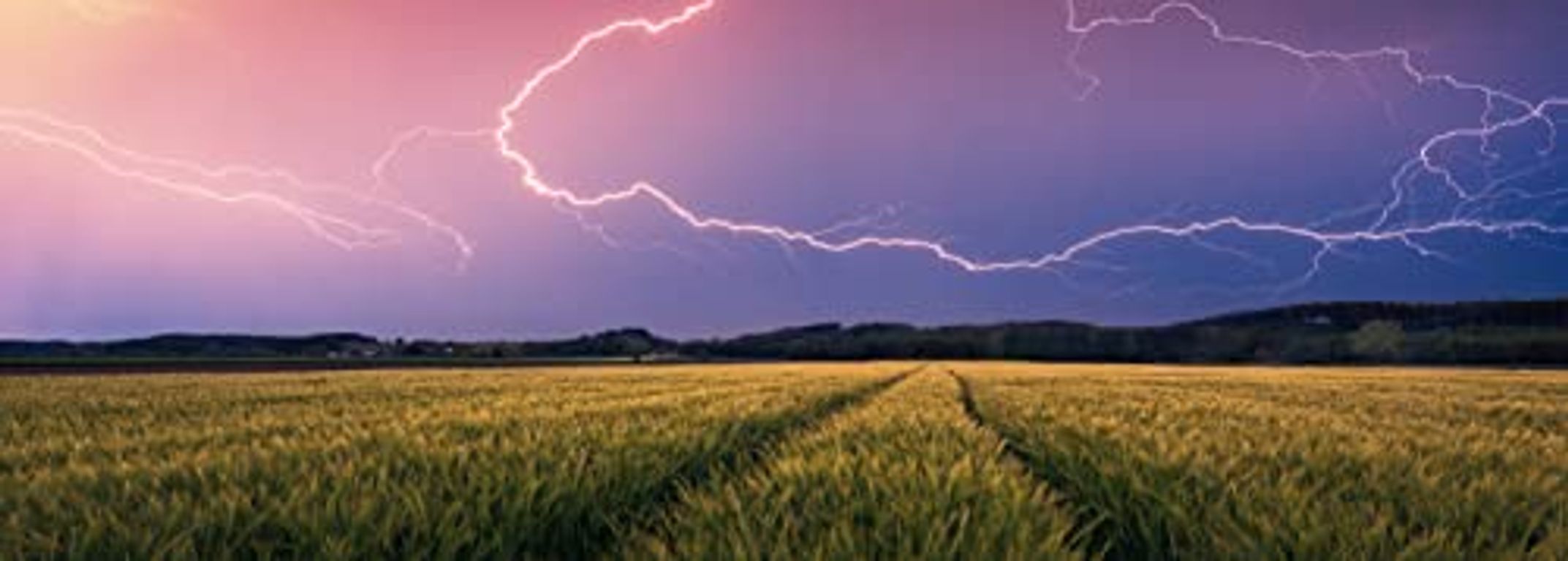 Nature-editie - Zomeronweer