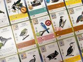 Wingspan Fan-Designed Bird Packs (6 packs) cards