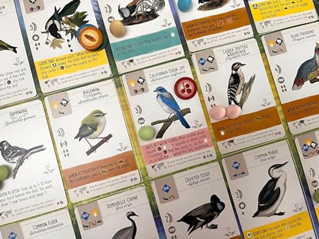 Wingspan Fan-Designed Bird Packs (6 packs) cards