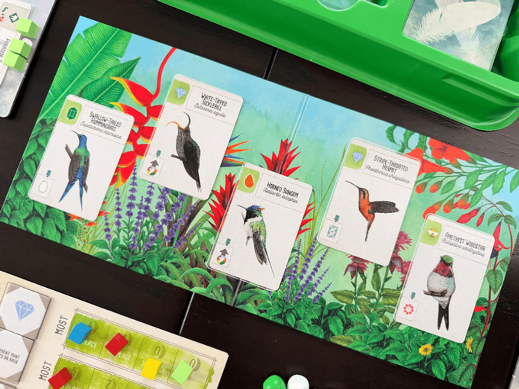 Wingspan uitbreiding: Midden- en Zuid-Amerika