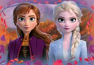 2 puzzles - La Reine des neiges II