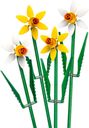 Daffodils components