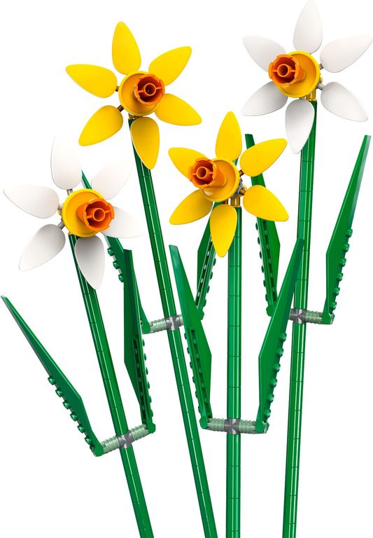 Daffodils components