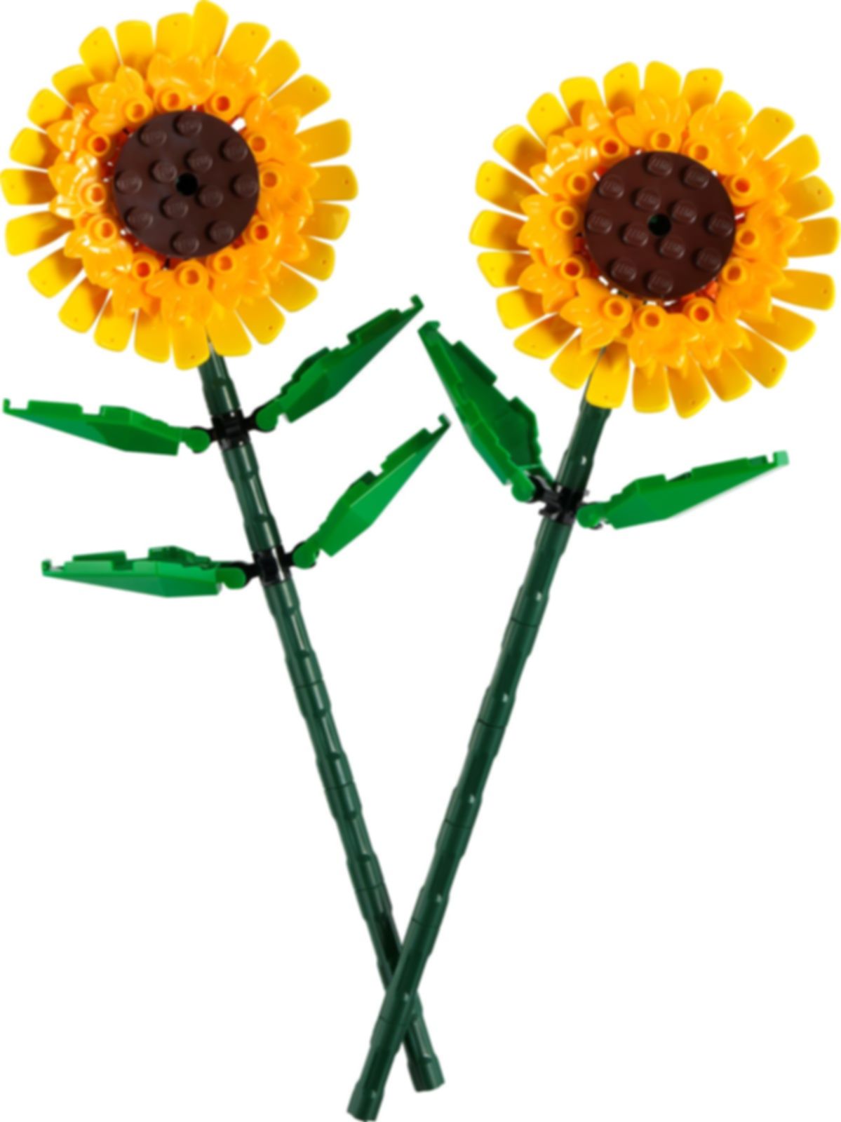 Sunflowers components