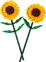 Girasoles partes