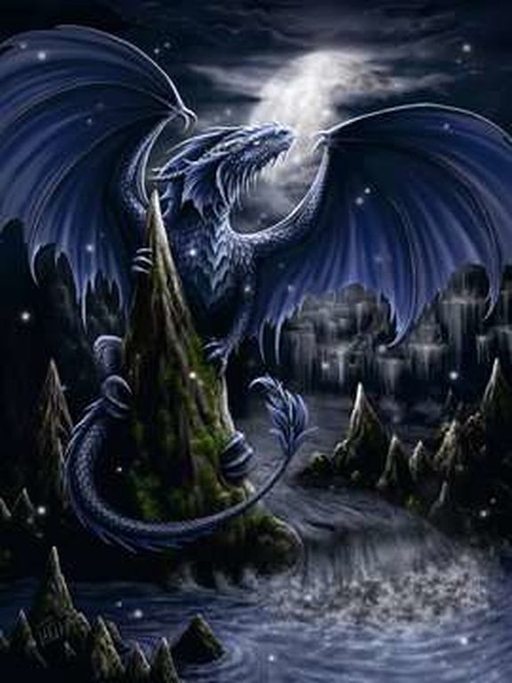 Dark Blue Dragon