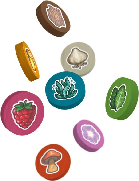 Wild Gardens Premium Wooden Source Tokens components