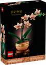 Mini Orchid