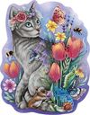 Spring cat