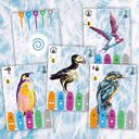 Coexist cards