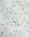 MicroMacro: Kids – Crazy City Park