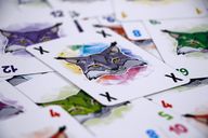 Linko cartas