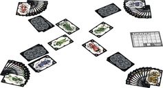 Shadow Cards components