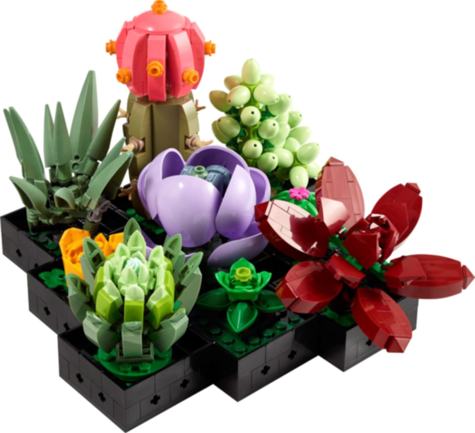 LEGO® Icons Les succulentes composants