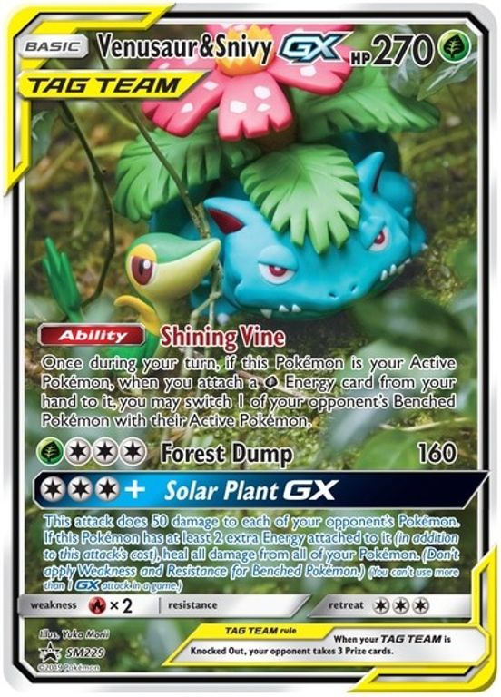 Pokémon Tag Team Generations Premium Collection carta