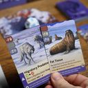 Nature: Arctic Tundra cards