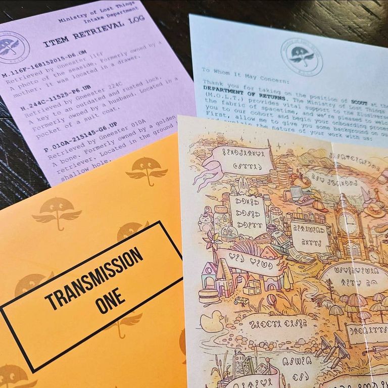 Ministry of Lost Things: Case 1 – Lint Condition