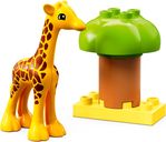 LEGO® DUPLO® Animaux sauvages d’Afrique animaux